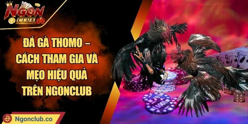 Đá Gà Thomo – Cách Tham Gia Và Mẹo Hiệu Quả Trên Ngonclub