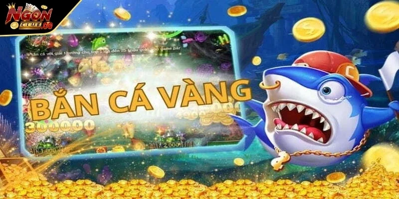 Màu sắc đại dương rực rỡ tạo nên không gian giải trí sống động