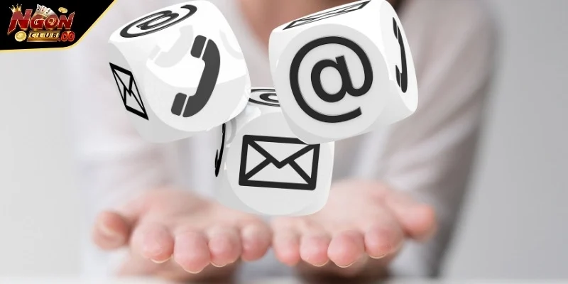 Thành viên cần xác minh trang chính thức để tránh lừa đảo